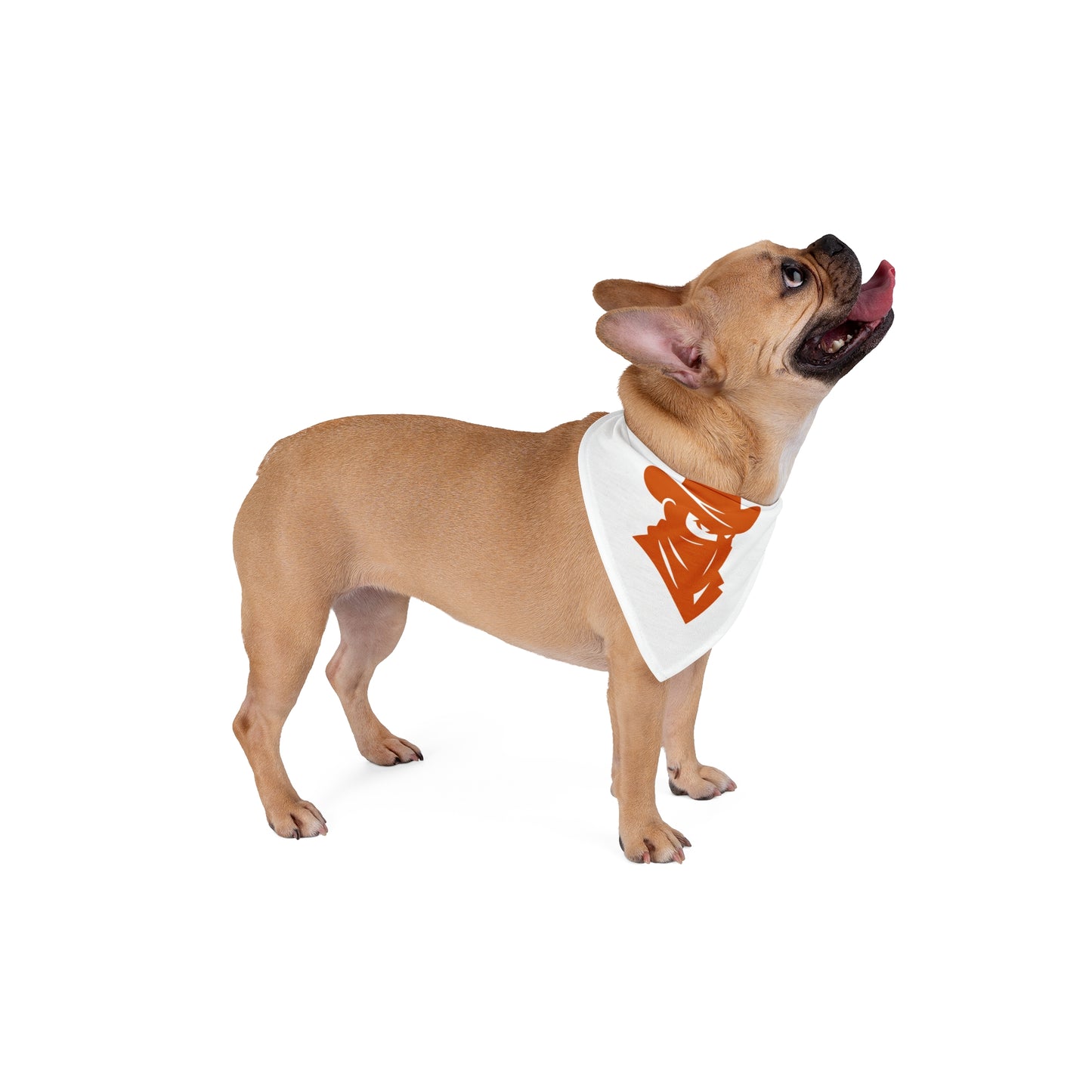 Cowboy Pet Bandana - Stylish Western Dog Scarf for Country Lovers, Pet Fashion Accessory, Ideal for Birthdays, Photoshoots, Outdoor Fun